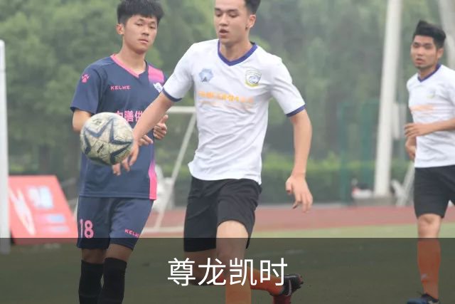 尊龙凯时公司简介展示图